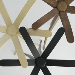 Appendiabiti nero Daisy*Albedo Sale