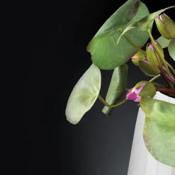 Composizione floreale a Tokyo*VGnewtrend Best