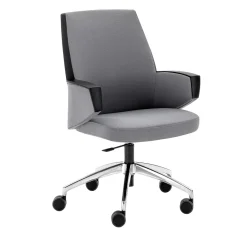 GRACE GRAY Presidente dell'assemblea*Viganò & C.