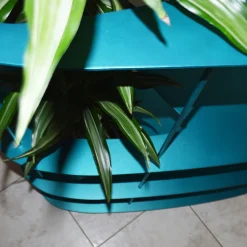 Libreria Oasi*William Mulas Online