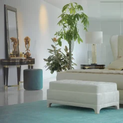 Medicazione A/300-Dr in ebano*Zanaboni Hot