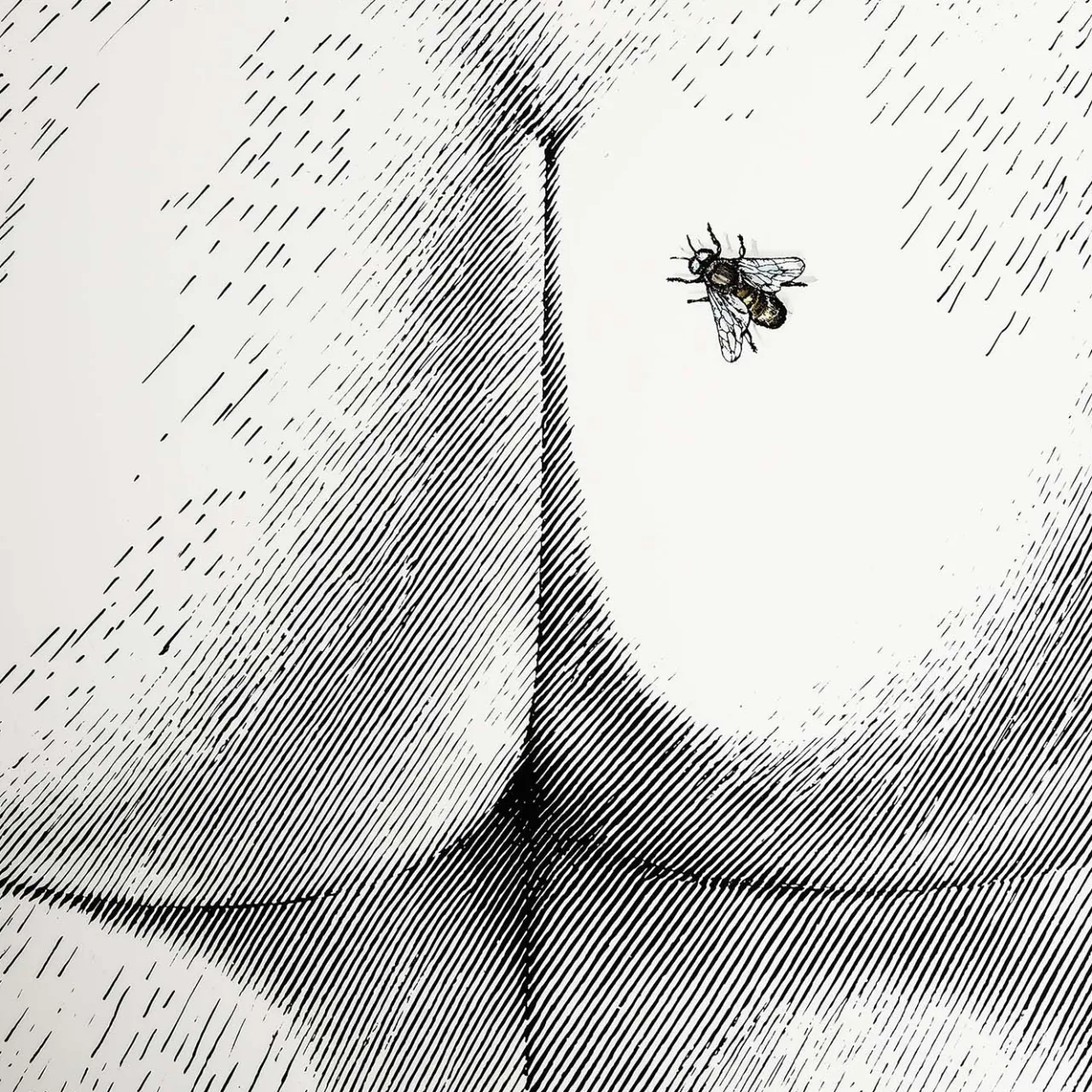 Sgabello a colori Bee on My Back*Fornasetti Hot