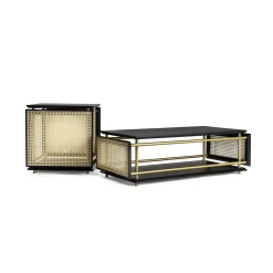 Tavolino Wiener Box di Cristian Mohaded*Gebrüder Thonet Vienna GmbH (GTV) – Wiener GTV Design Sale