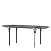 Tavolo ovale in vetro e ferro battuto Tavolario*Dante Negro